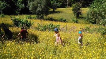 Moving Out: Urban-to-Rural Migration